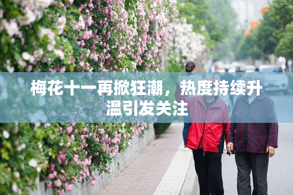 梅花十一再掀狂潮，热度持续升温引发关注
