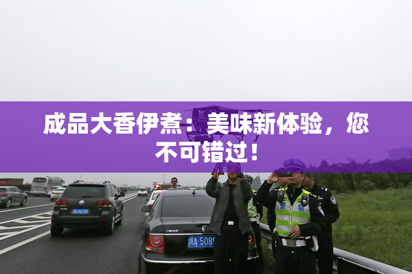 成品大香伊煮：美味新体验，您不可错过！