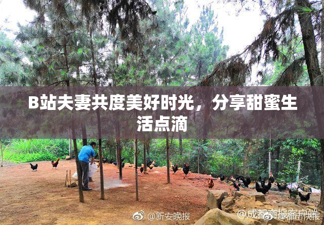 B站夫妻共度美好时光，分享甜蜜生活点滴