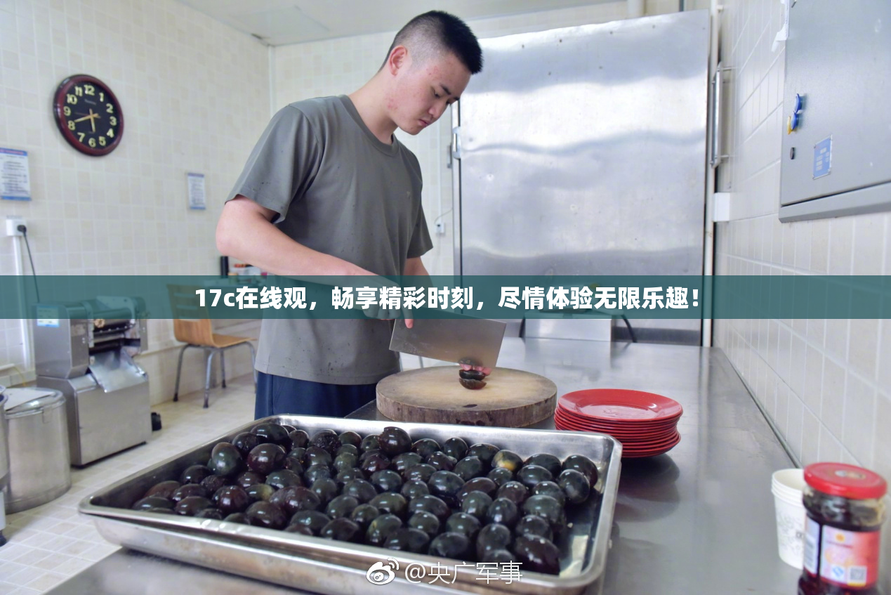 17c在线观，畅享精彩时刻，尽情体验无限乐趣！