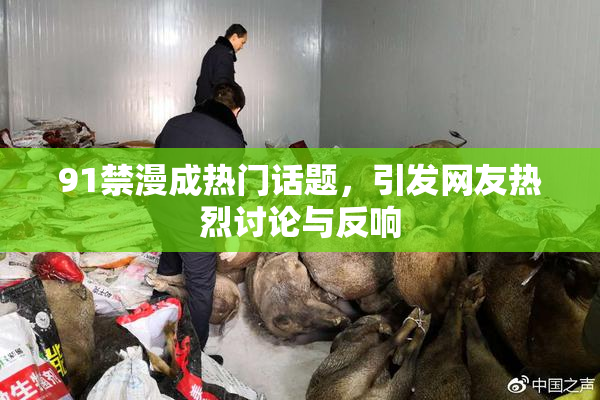 91禁漫成热门话题，引发网友热烈讨论与反响