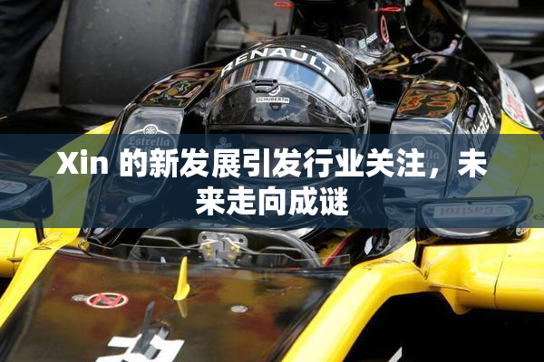 Xin 的新发展引发行业关注，未来走向成谜
