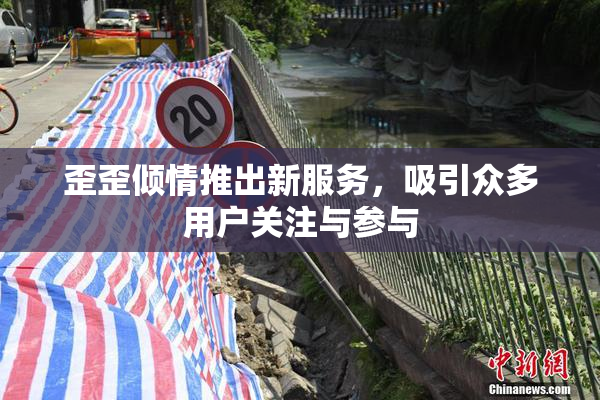 歪歪倾情推出新服务，吸引众多用户关注与参与
