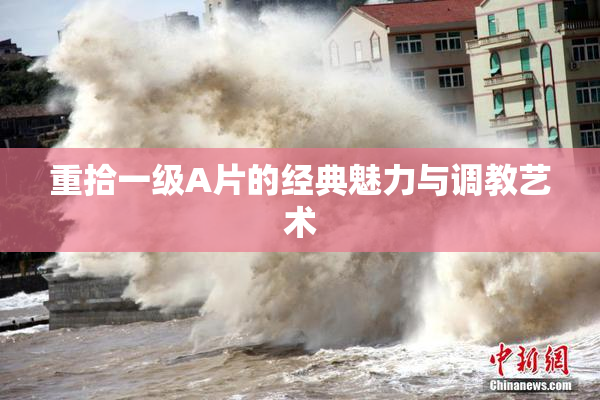 重拾一级A片的经典魅力与调教艺术