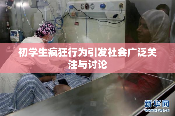初学生疯狂行为引发社会广泛关注与讨论