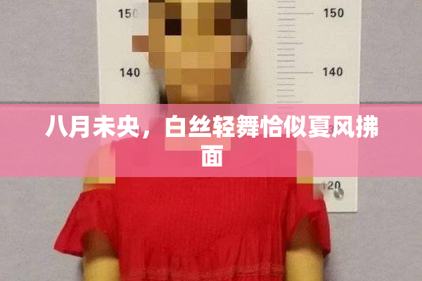 八月未央，白丝轻舞恰似夏风拂面