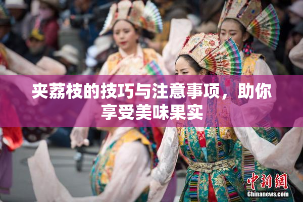 夹荔枝的技巧与注意事项，助你享受美味果实