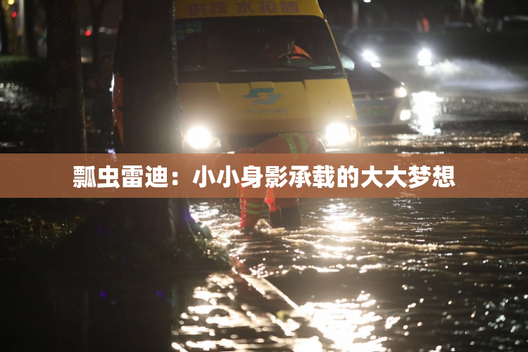 瓢虫雷迪：小小身影承载的大大梦想