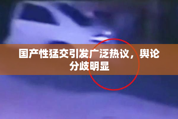国产性猛交引发广泛热议，舆论分歧明显