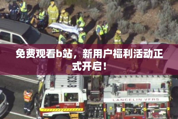 免费观看b站，新用户福利活动正式开启！