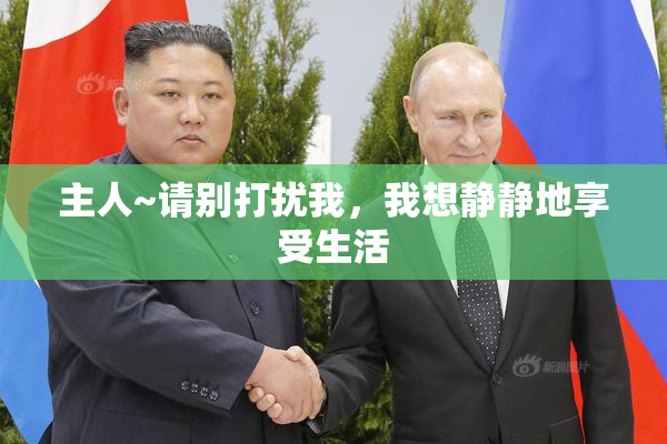 主人~请别打扰我，我想静静地享受生活