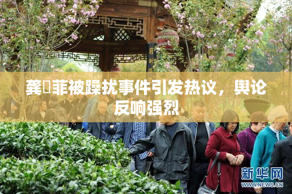 龚玥菲被躁扰事件引发热议，舆论反响强烈