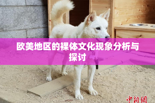 欧美地区的裸体文化现象分析与探讨
