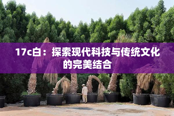 17c白：探索现代科技与传统文化的完美结合