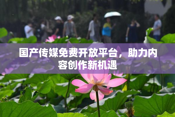 国产传媒免费开放平台，助力内容创作新机遇