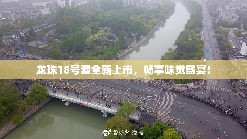 龙珠18号酒全新上市，畅享味觉盛宴！