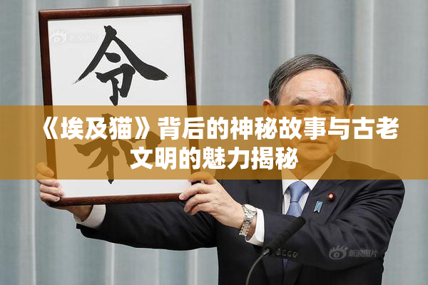 《埃及猫》背后的神秘故事与古老文明的魅力揭秘