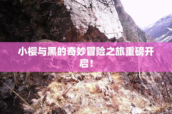 小樱与黑的奇妙冒险之旅重磅开启！