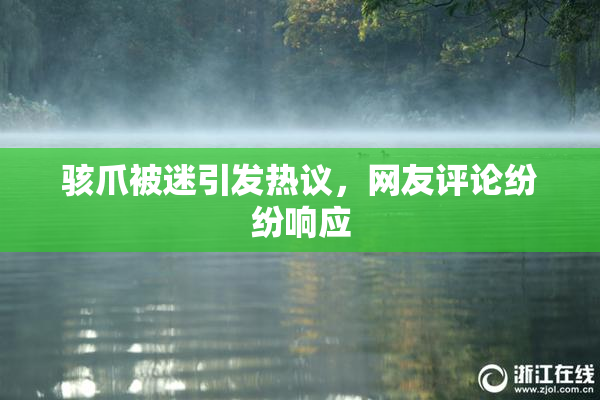 骇爪被迷引发热议，网友评论纷纷响应