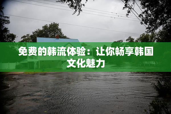 免费的韩流体验：让你畅享韩国文化魅力