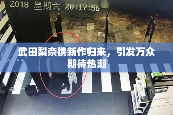 武田梨奈携新作归来，引发万众期待热潮
