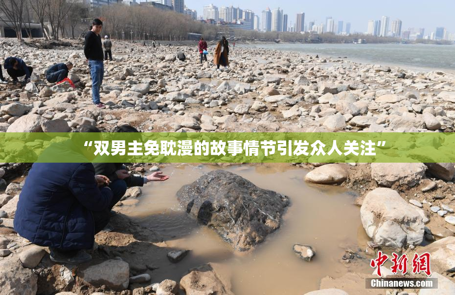 “双男主免耽漫的故事情节引发众人关注”