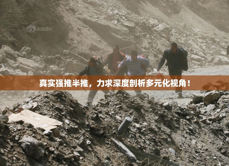 真实强推半推，力求深度剖析多元化视角！