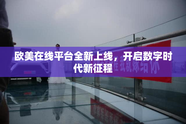 欧美在线平台全新上线，开启数字时代新征程