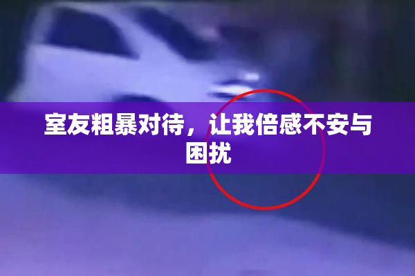 室友粗暴对待，让我倍感不安与困扰