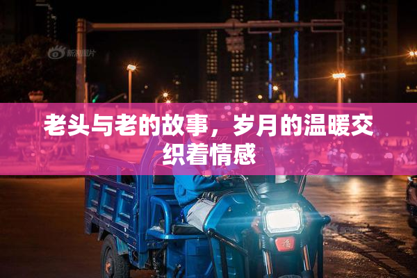 老头与老的故事，岁月的温暖交织着情感