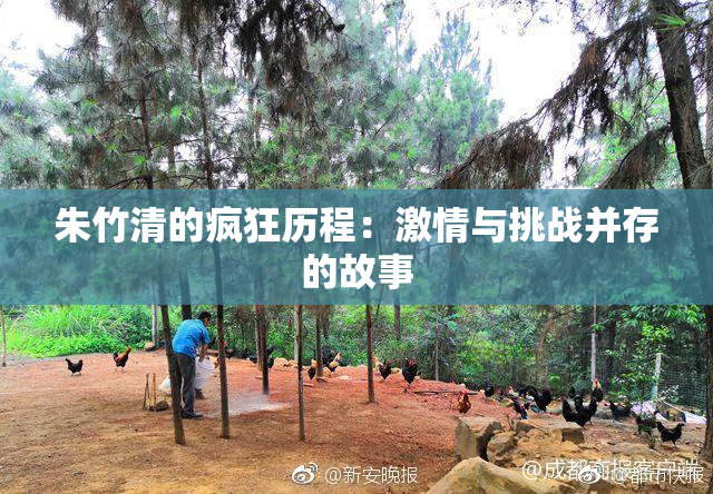 朱竹清的疯狂历程：激情与挑战并存的故事
