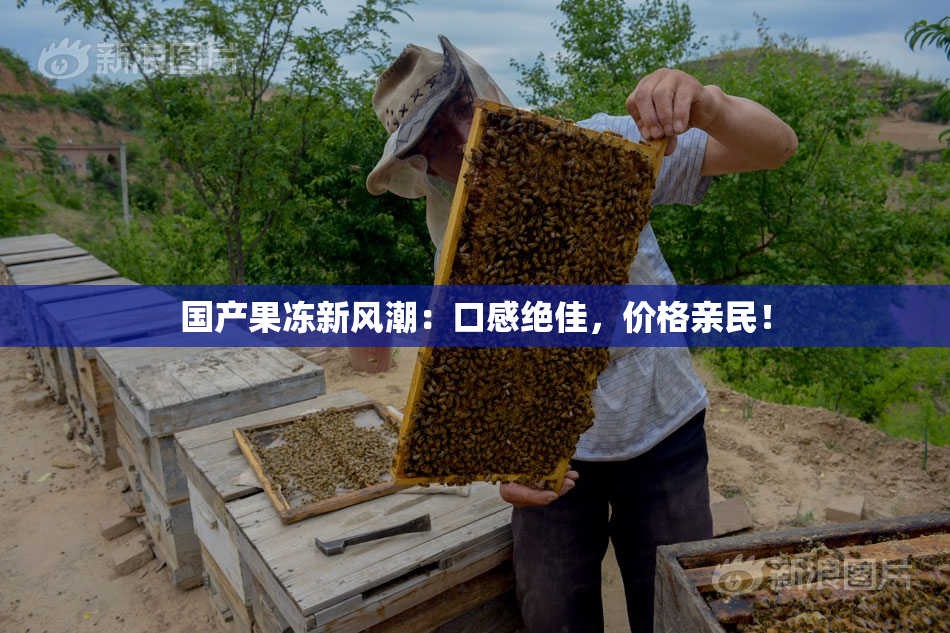 国产果冻新风潮：口感绝佳，价格亲民！