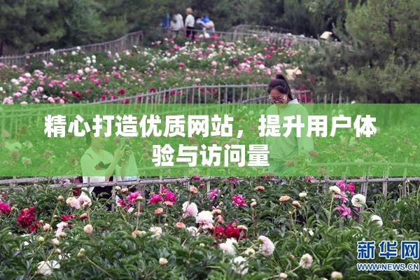 精心打造优质网站，提升用户体验与访问量