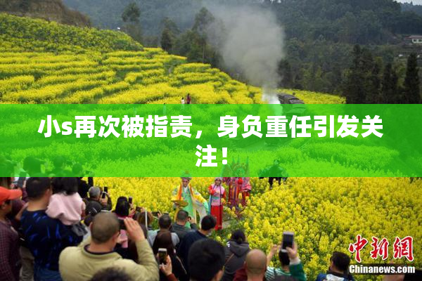 小s再次被指责，身负重任引发关注！