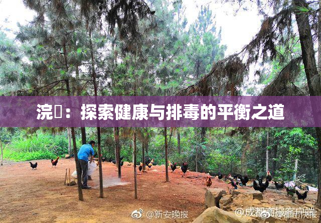 浣腸：探索健康与排毒的平衡之道