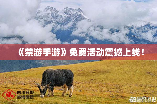 《禁游手游》免费活动震撼上线！