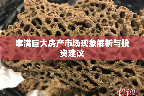 丰满巨大房产市场现象解析与投资建议