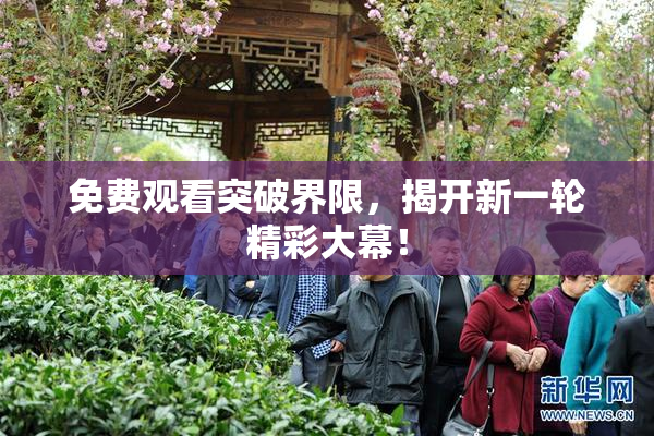 免费观看突破界限，揭开新一轮精彩大幕！