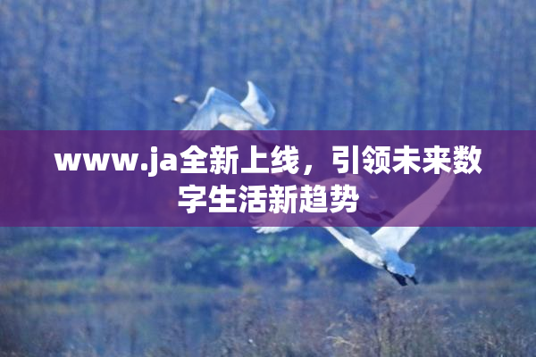 www.ja全新上线，引领未来数字生活新趋势