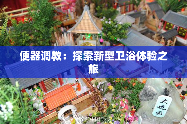 便器调教：探索新型卫浴体验之旅