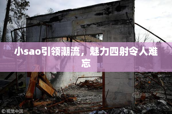小sao引领潮流，魅力四射令人难忘