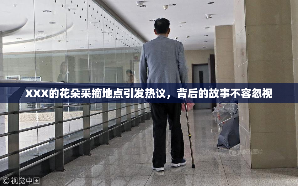 XXX的花朵采摘地点引发热议，背后的故事不容忽视