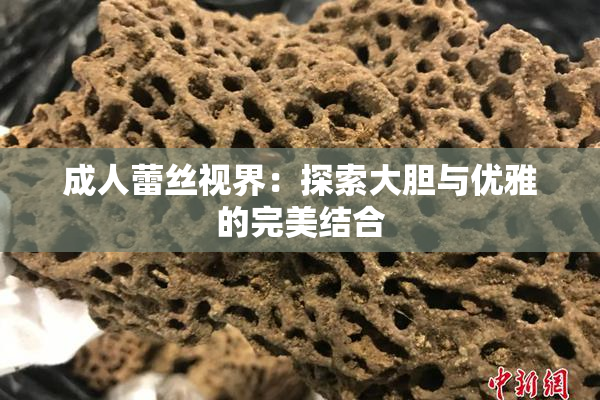 成人蕾丝视界：探索大胆与优雅的完美结合