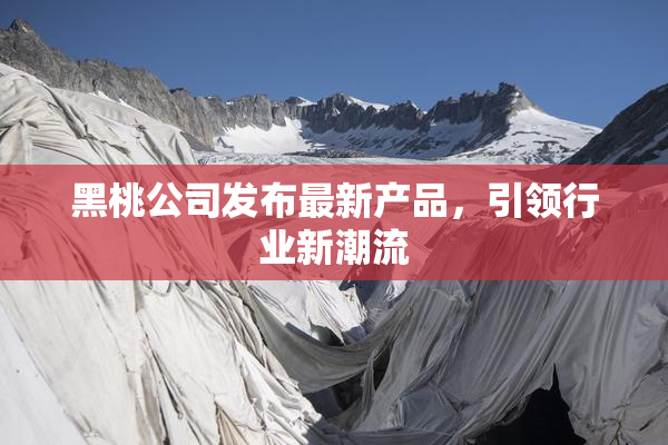 黑桃公司发布最新产品，引领行业新潮流