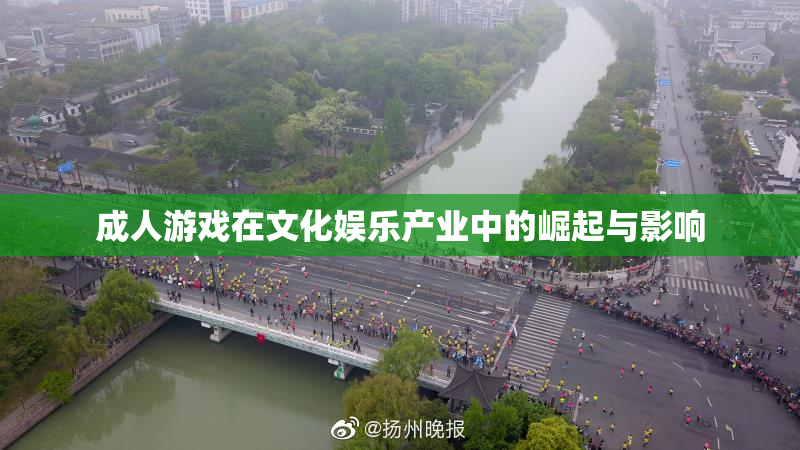 成人游戏在文化娱乐产业中的崛起与影响