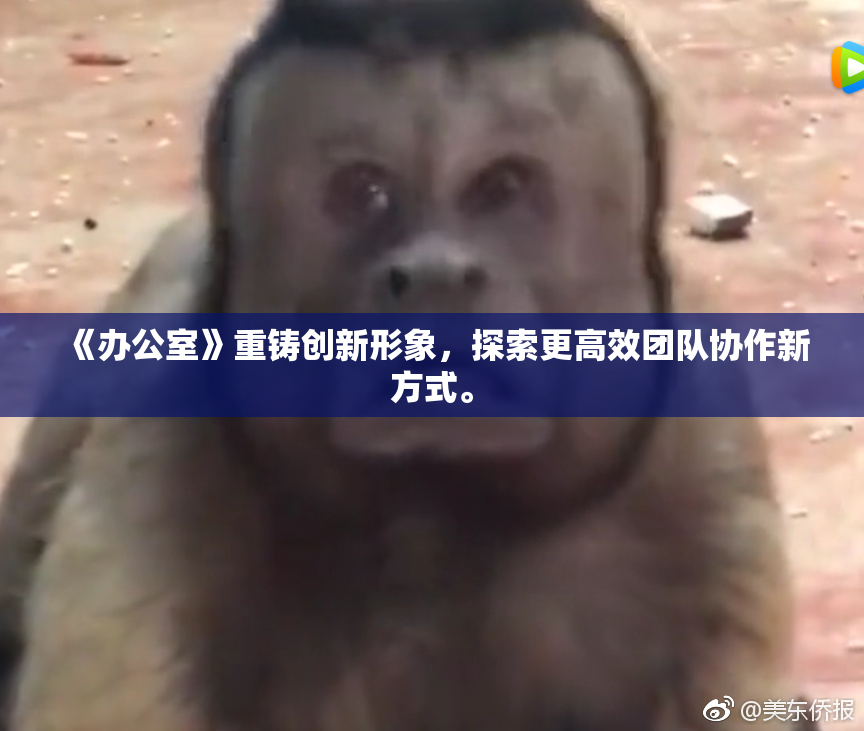 《办公室》重铸创新形象，探索更高效团队协作新方式。