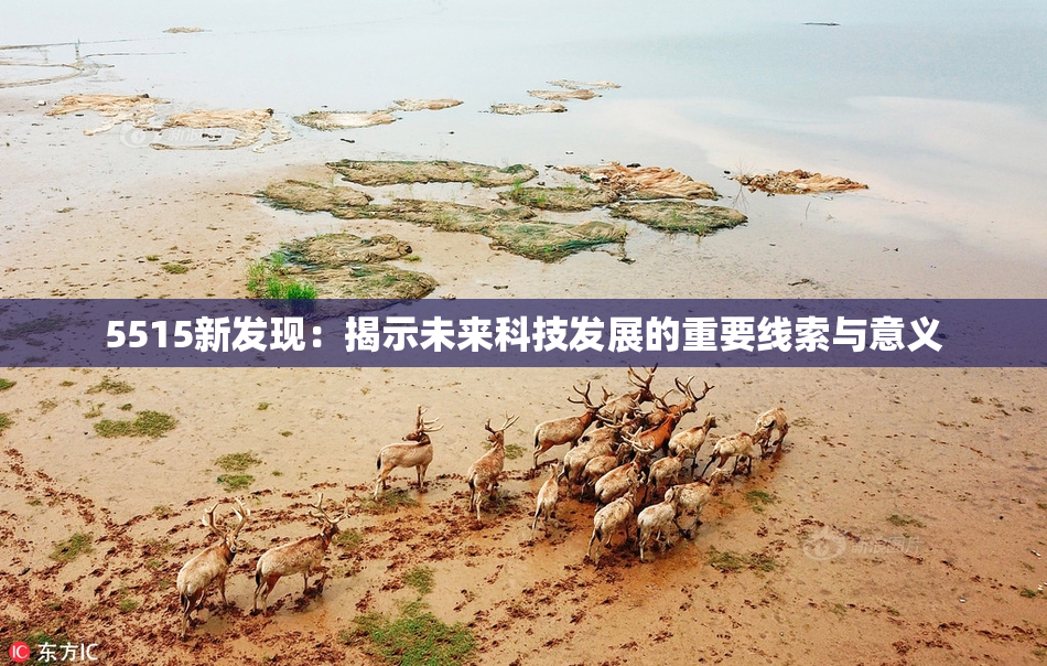 5515新发现：揭示未来科技发展的重要线索与意义