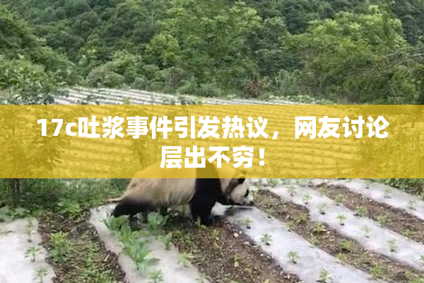 17c吐浆事件引发热议，网友讨论层出不穷！