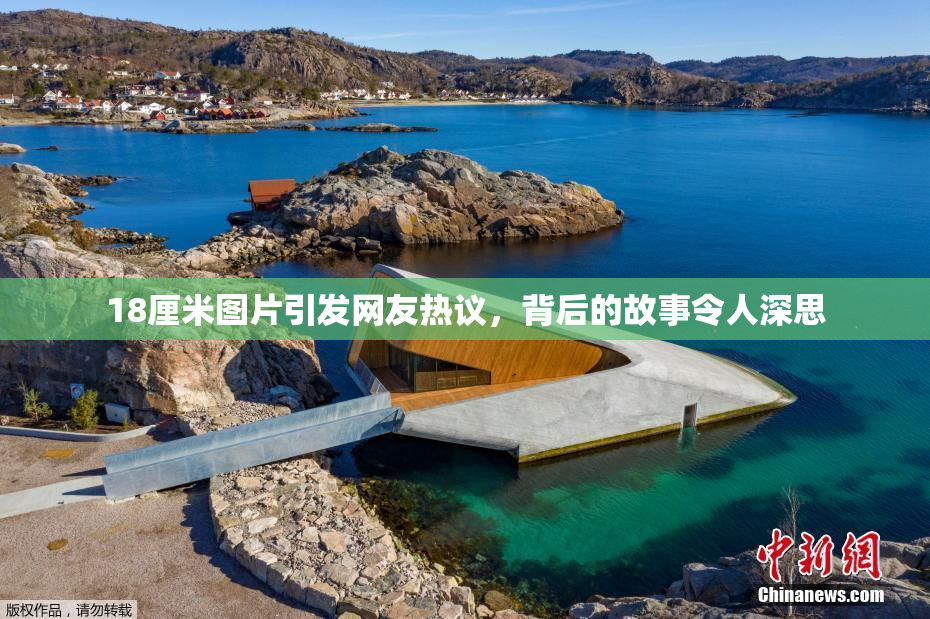 18厘米图片引发网友热议，背后的故事令人深思