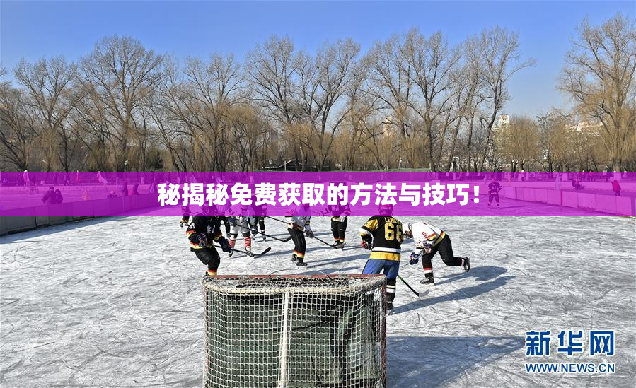秘揭秘免费获取的方法与技巧！